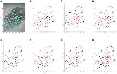 Comparative study of minutiae selection methods for digital fingerprints